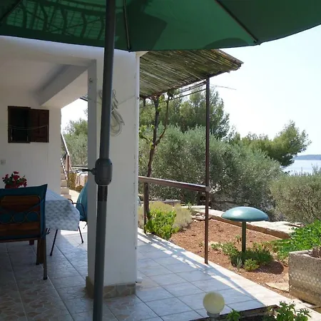 Surjan * וולה לוקה