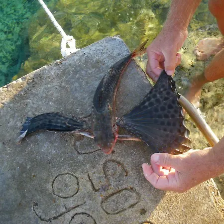 Apartmán Surjan Vela Luka