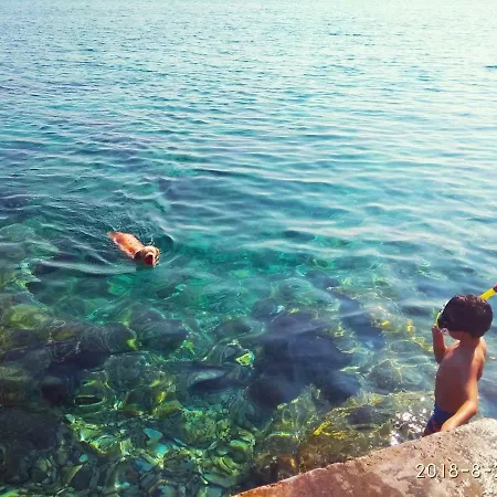 Surjan Apartmán Vela Luka