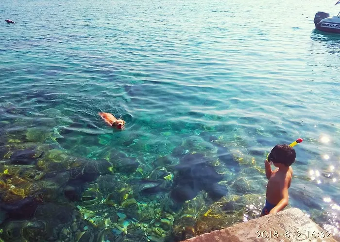 Surjan Apartment Vela Luka